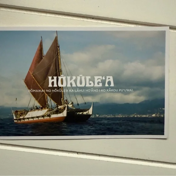 Aloha Collection x Hokulea Mini Pouch - - Picture 6 of 8